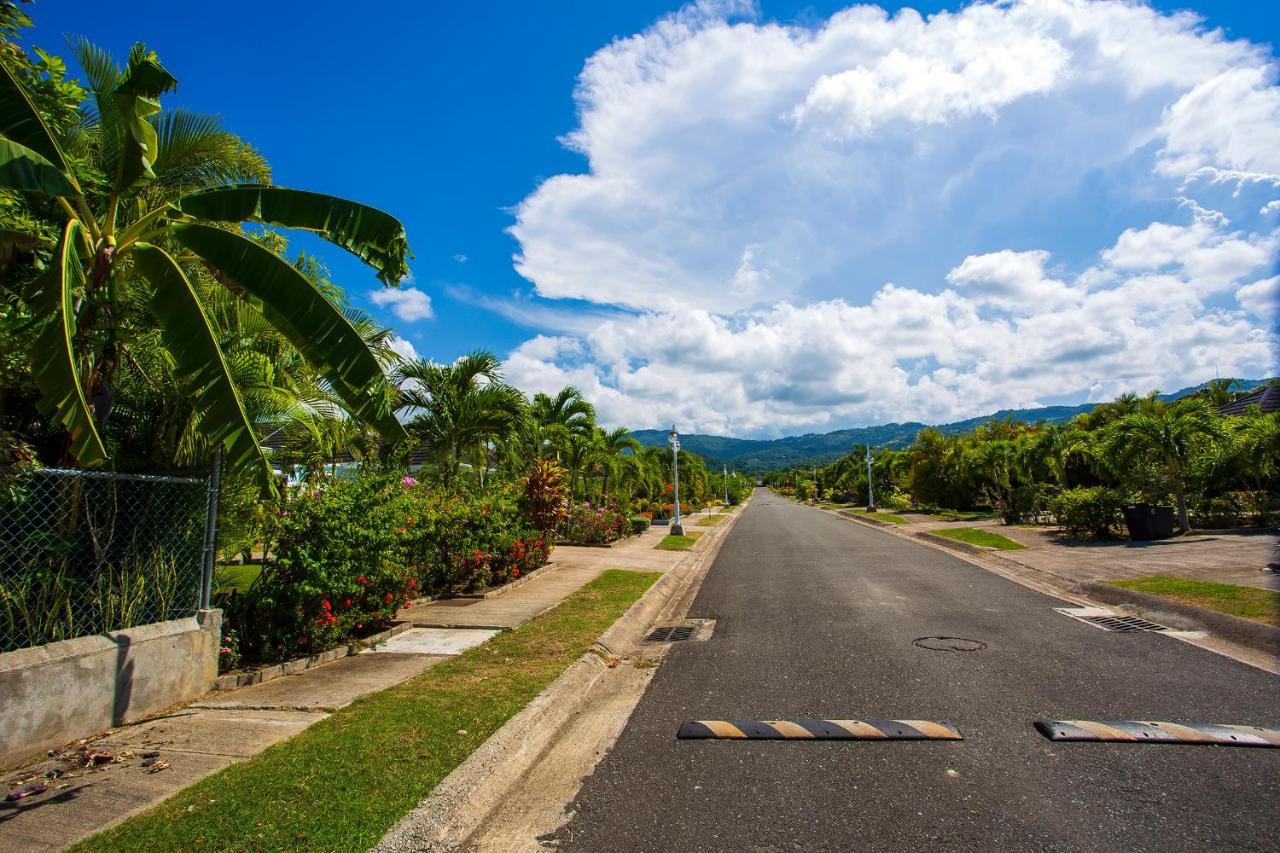 Nature'S Choice Home Richmond Palms, Jamaica Exteriör bild