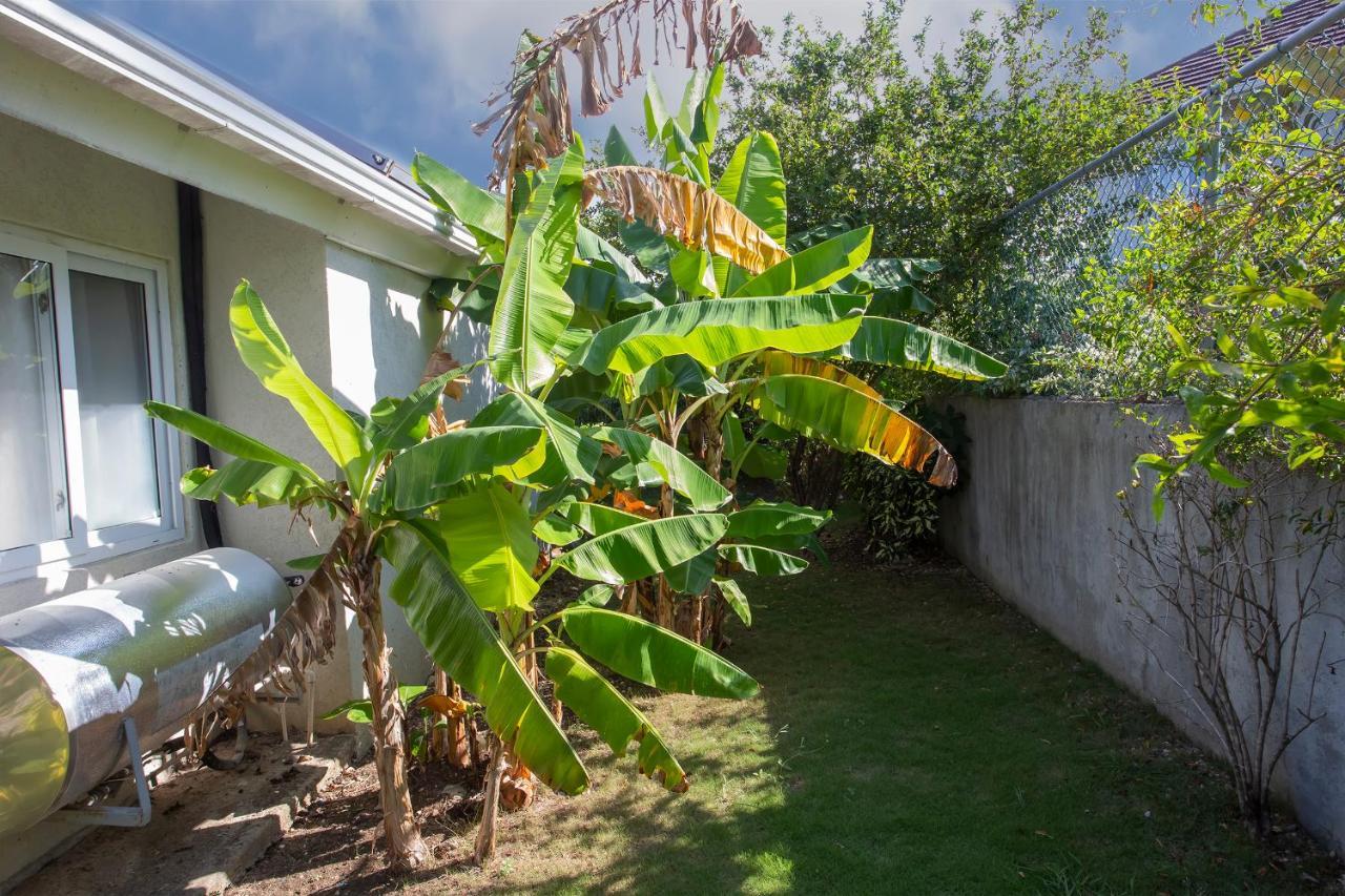 Nature'S Choice Home Richmond Palms, Jamaica Exteriör bild