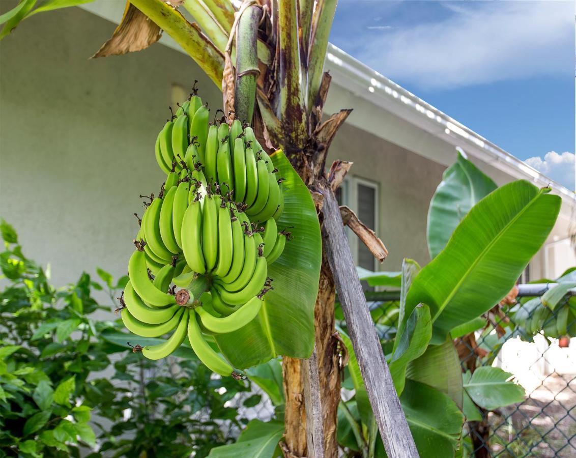 Nature'S Choice Home Richmond Palms, Jamaica Exteriör bild